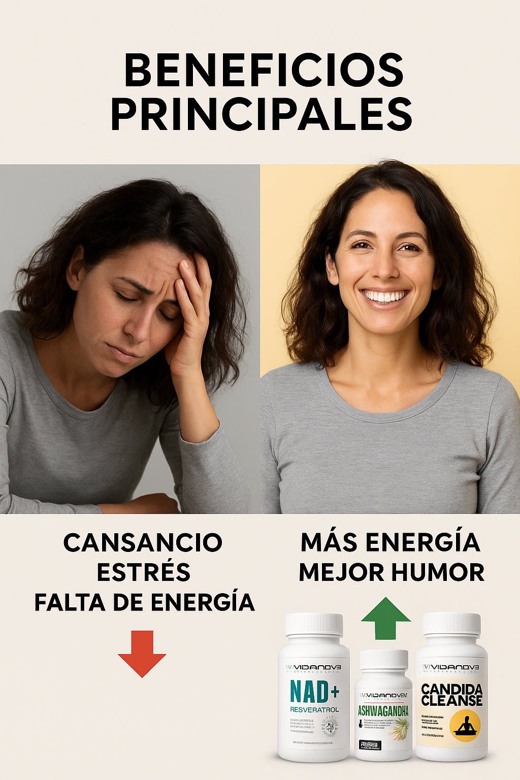 Encabezado